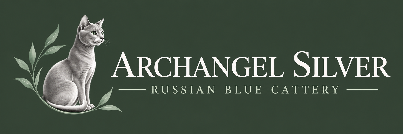 Archangel Silver Russian Blue Cattery
