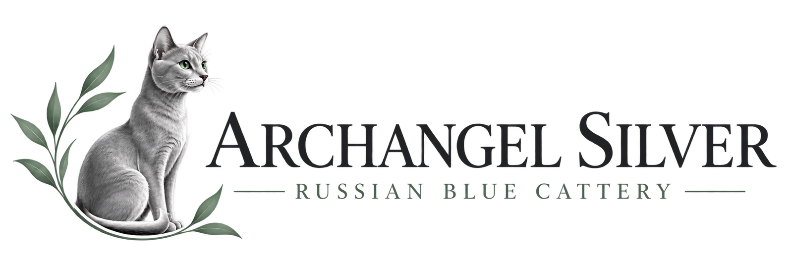 Archangel Silver Russian Blue Cattery