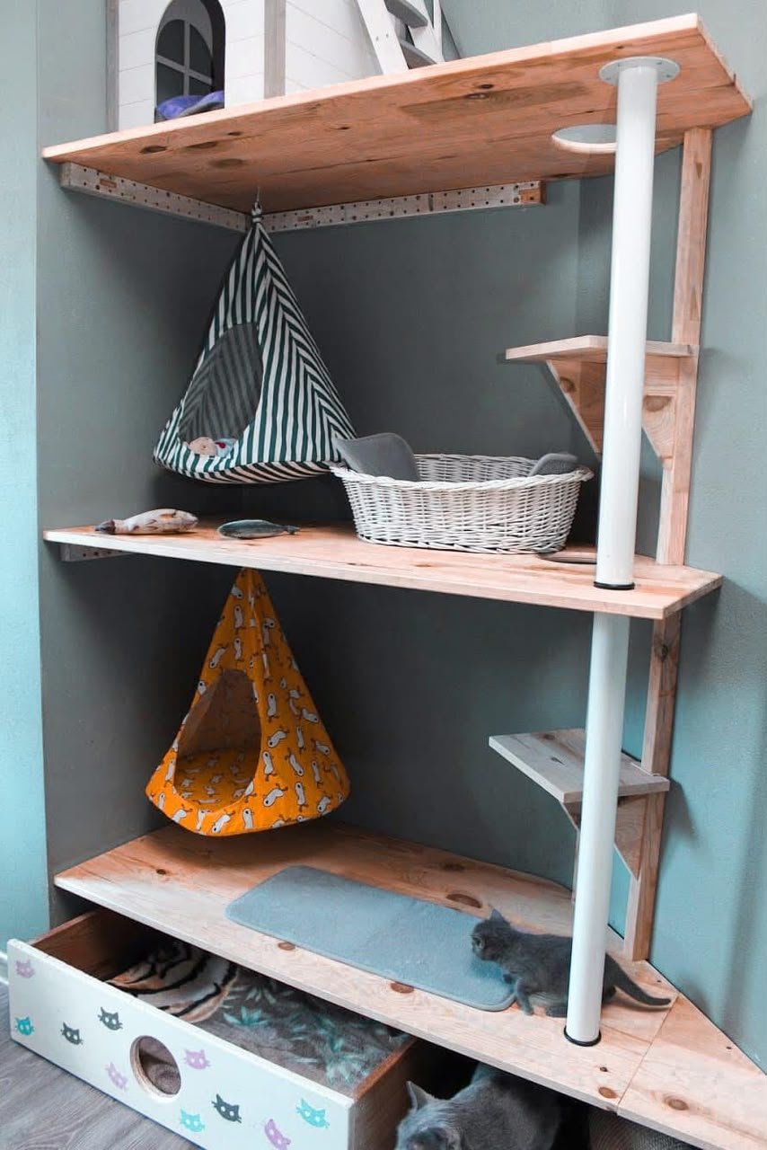 Indoor cat climbing shelves with beds, hammocks, and toys
